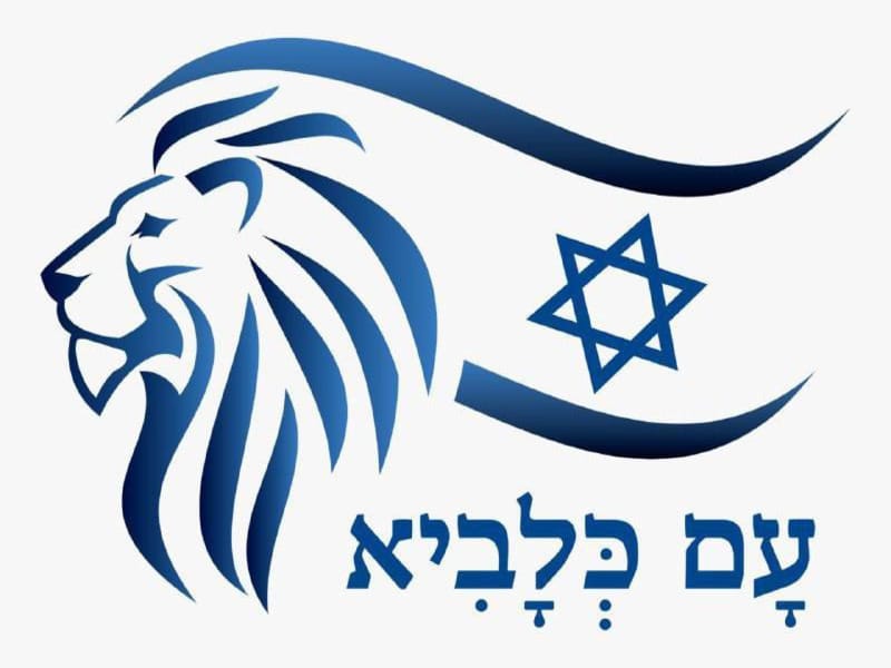 בשורה לעסקים בצפון: אושרו הפיצויים המלאים גם עבור מאי–יוני — צילום: ניהול