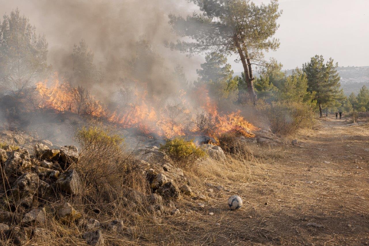 השריפה שהצמיחה אחריות — צילום: ניהול